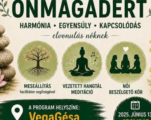 EGY NAP ÖNMAGADÉRT